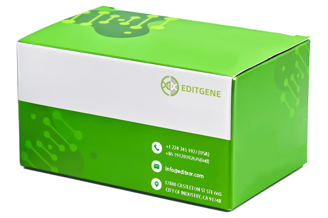 CRISPR EDITx™ KO Extreme Knockout Kit (Basic)