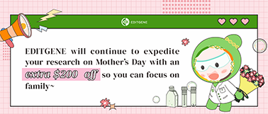 [Mother’s Day bundle Day Bundle | EDITGENE Cell Line Bundle]