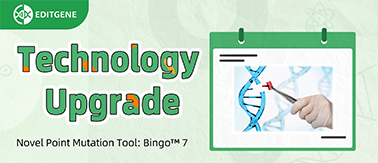 EDITGENE Launches Bingo™ 7 : A Leap in Gene-Targeted Mutation Technology