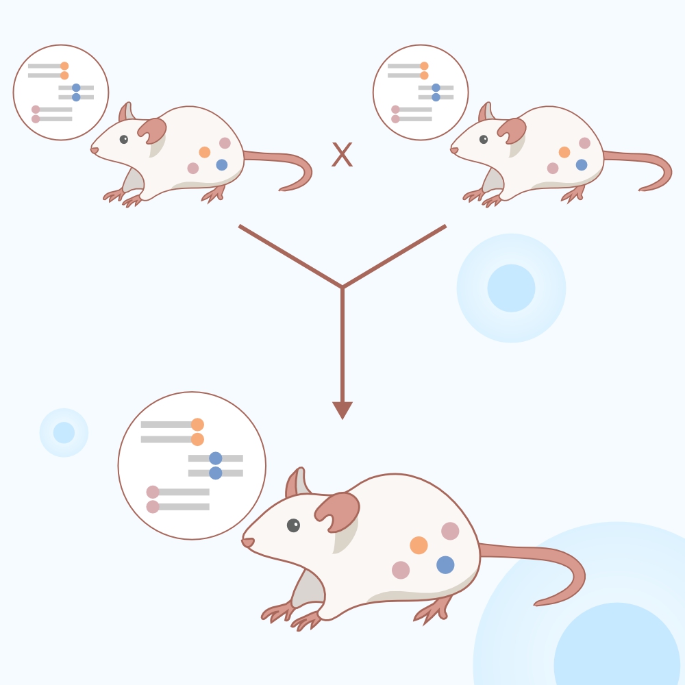 TurboMice™: Accelerating the Future of Mouse Model Creation
