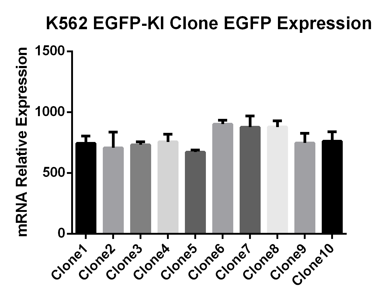EGFP knock-in single clones show high uniformity.