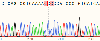 Sequencing chromatogram of a double-site mutation cell line generated in A549 cells using Prime Editing.