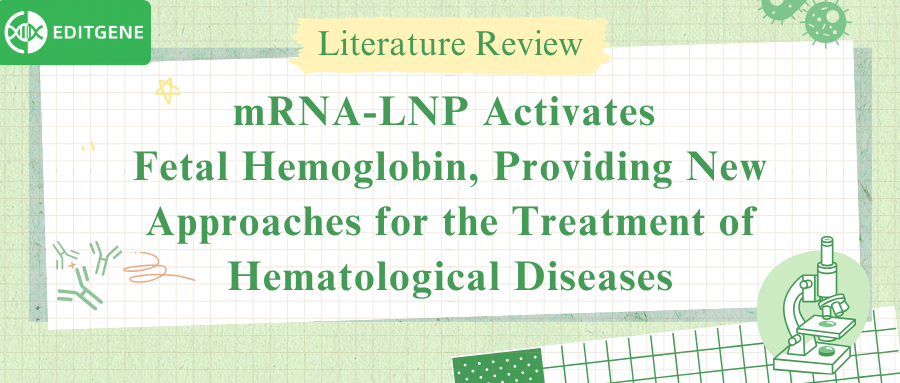 mRNA-LNP Activates Fetal Hemoglobin, Providing New Approaches for the Treatment of Hematological Diseases