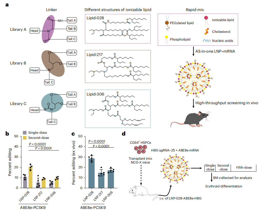 Screening and formulation of mRNA and sgRNA with LNP-168