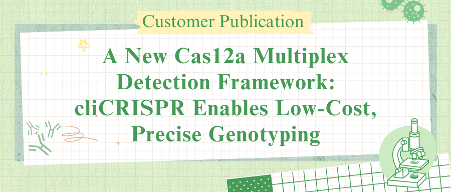 A New Cas12a Multiplex Detection Framework: cliCRISPR Enables Low-Cost, Precise Genotyping