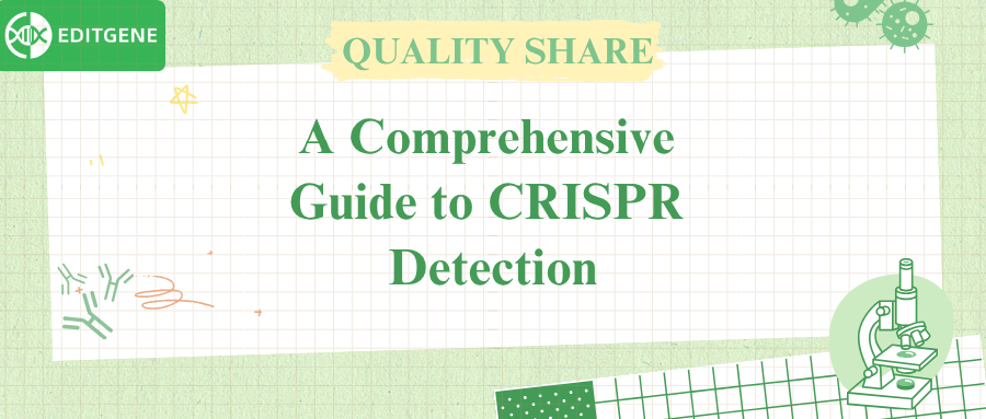 A Comprehensive Guide to CRISPR Detection