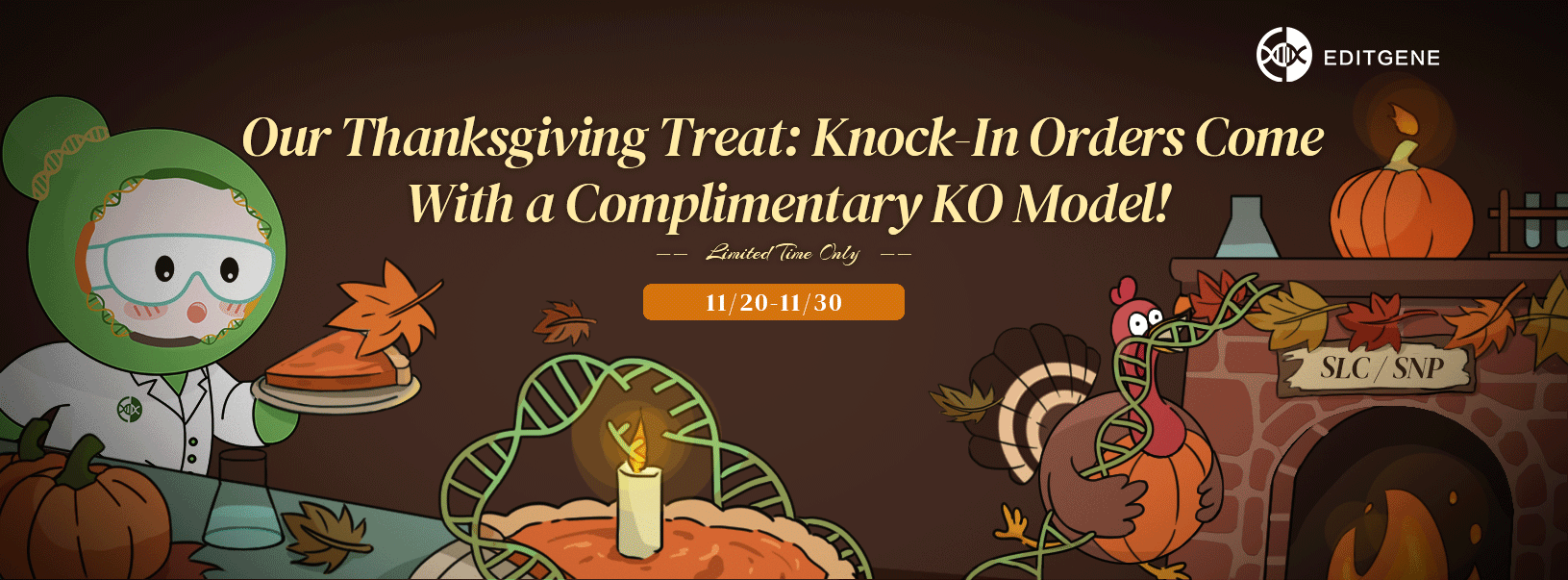 Our Thanksgiving Treat: Knock-In Orders Come With a Complimentary KO Model!