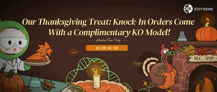 Thanksgiving Special — FREE KO With Every Knock-In！ Limited Time Only！