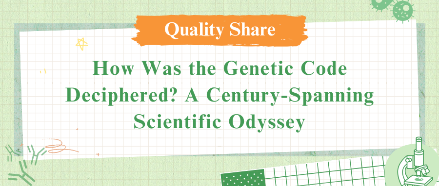 How Was the Genetic Code Deciphered? A Century-Spanning Scientific Odyssey