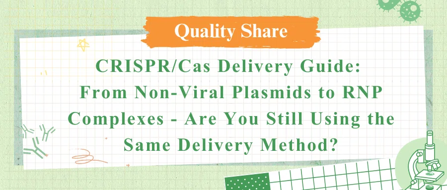 [Quality Share] CRISPR/Cas Delivery Guide: From Non-Viral Plasmids to RNP Complexes - Are You Still Using the Same Delivery Method?
