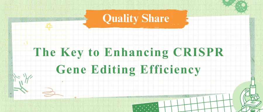 The Key to Enhancing CRISPR Gene Editing Efficiency