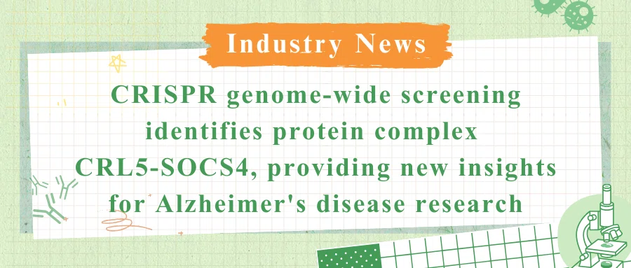 CRISPR genome-wide screening identifies protein complex CRL5-SOCS4, providing new insights for Alzheimer's disease research