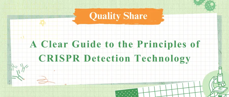 A Clear Guide to the Principles of CRISPR Detection Technology