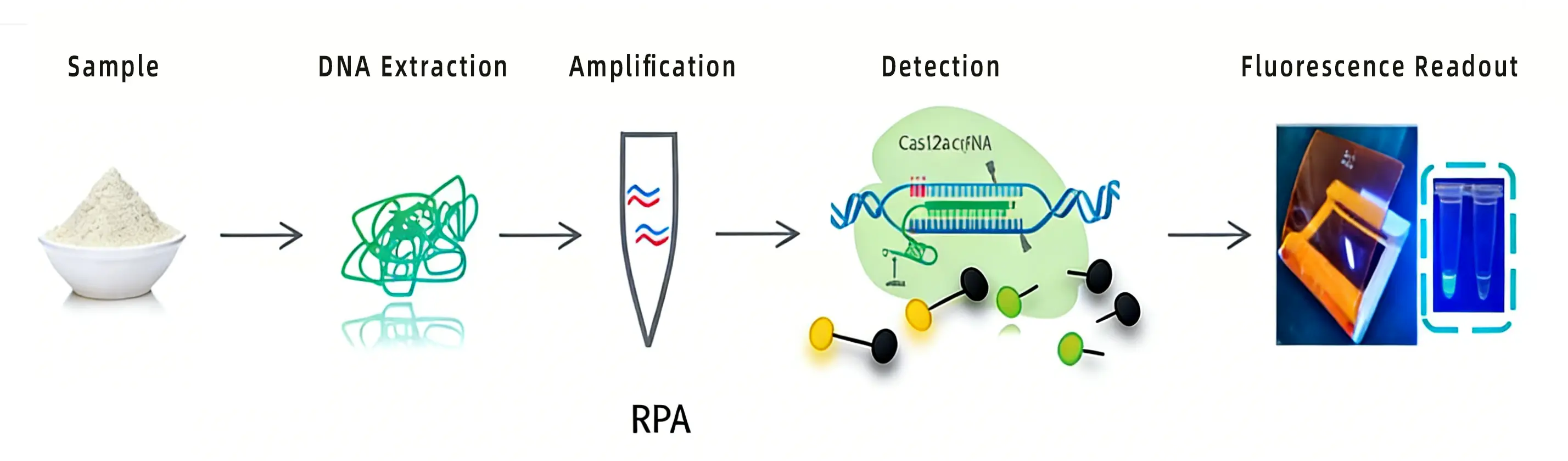 CRISPR detection