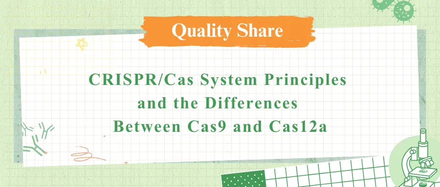 CRISPR/Cas System Principles and the Differences Between Cas9 and Cas12a