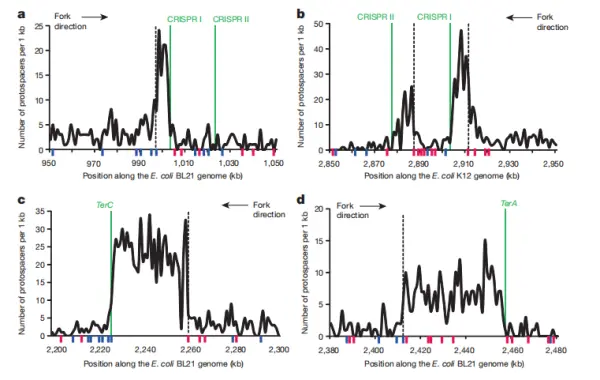 Figure 3. Spacer acquisition hotspots in E. coli BL21-AI and K-12