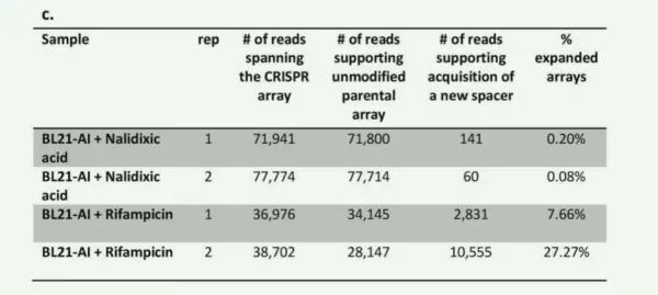 Figure 4. Experimental validation that DNA replication promotes CRISPR adaptation (Experiment 1)
