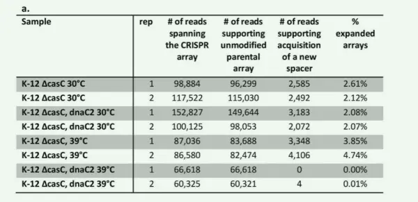 Figure 5. Experimental validation that DNA replication promotes CRISPR adaptation 