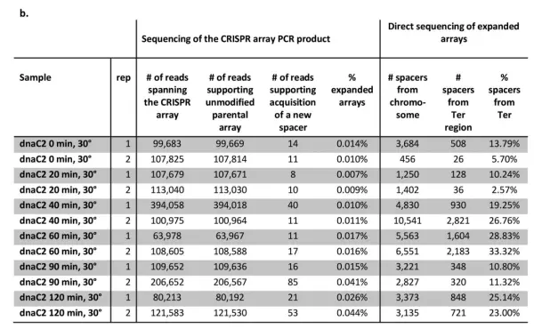 Figure 6. Experiment linking spacer acquisition preferences to replication fork positions