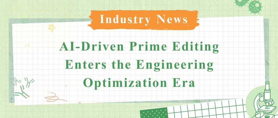 AI-Driven Prime Editing Enters the Engineering Optimization Era