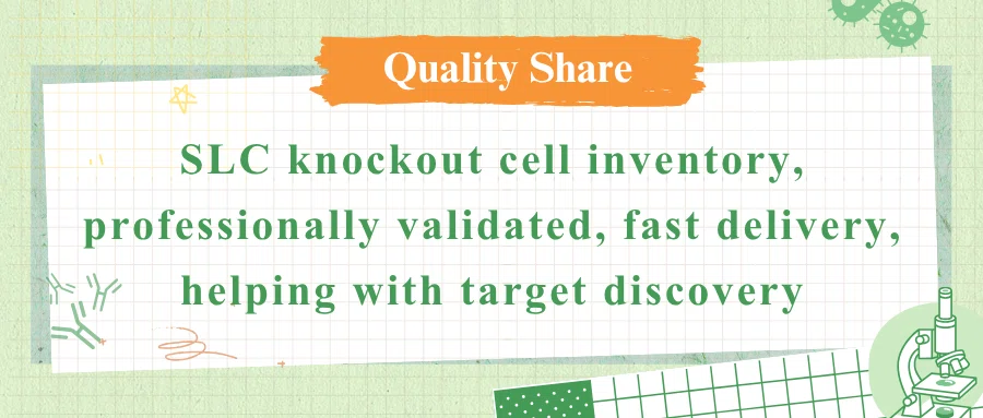 SLC Transporter Knockout Cells: From Metabolic Regulation to Drug Target Discovery