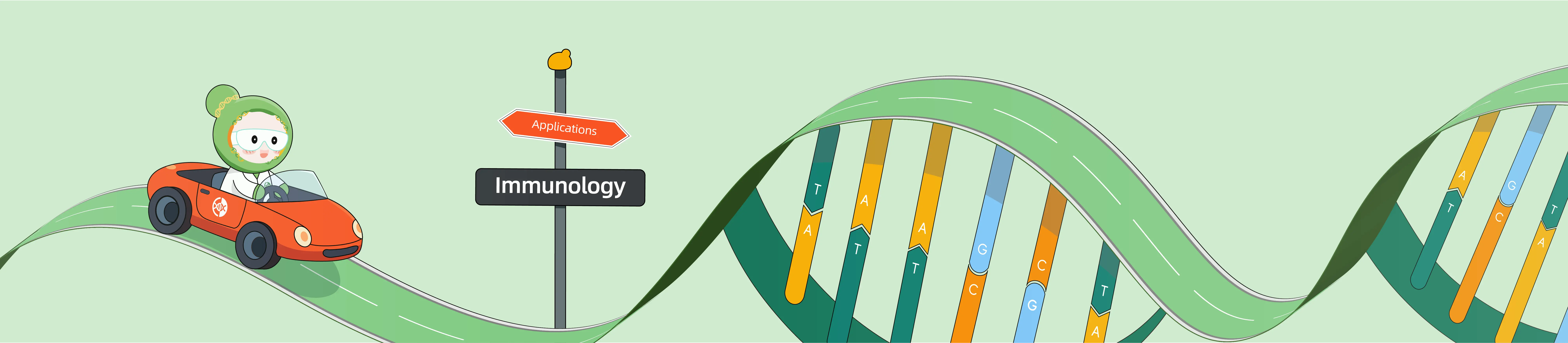 Enhancing T Cell Immunotherapy with CRISPR From Gene Editing to Functional Reprogramming