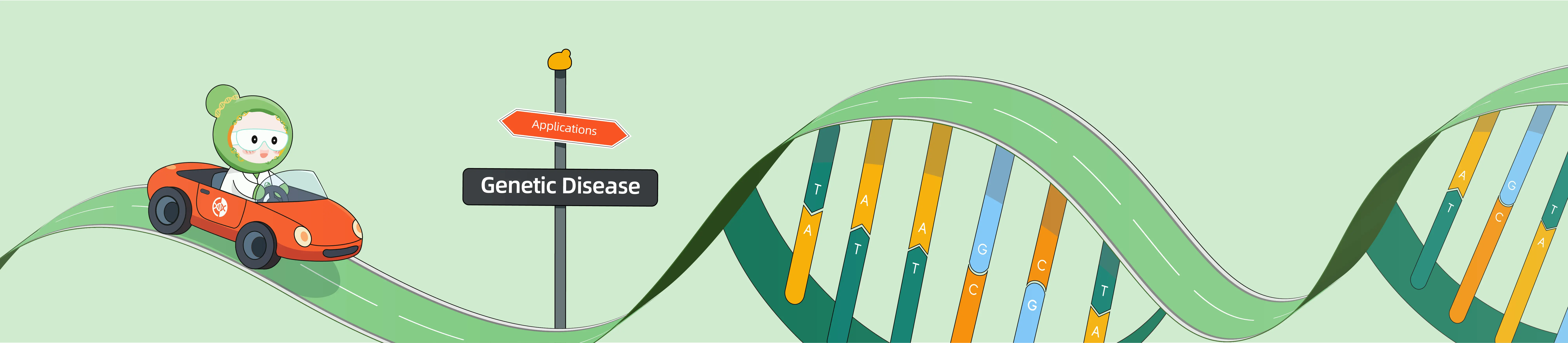 Advancing Genetic Disease Research with CRISPR From Mechanism to Precision Intervention