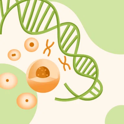Gene Overexpression And Knockdown Cell Line Service