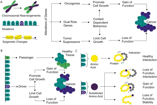 Nourbakhsh et al., Brief Bioinform, 2024