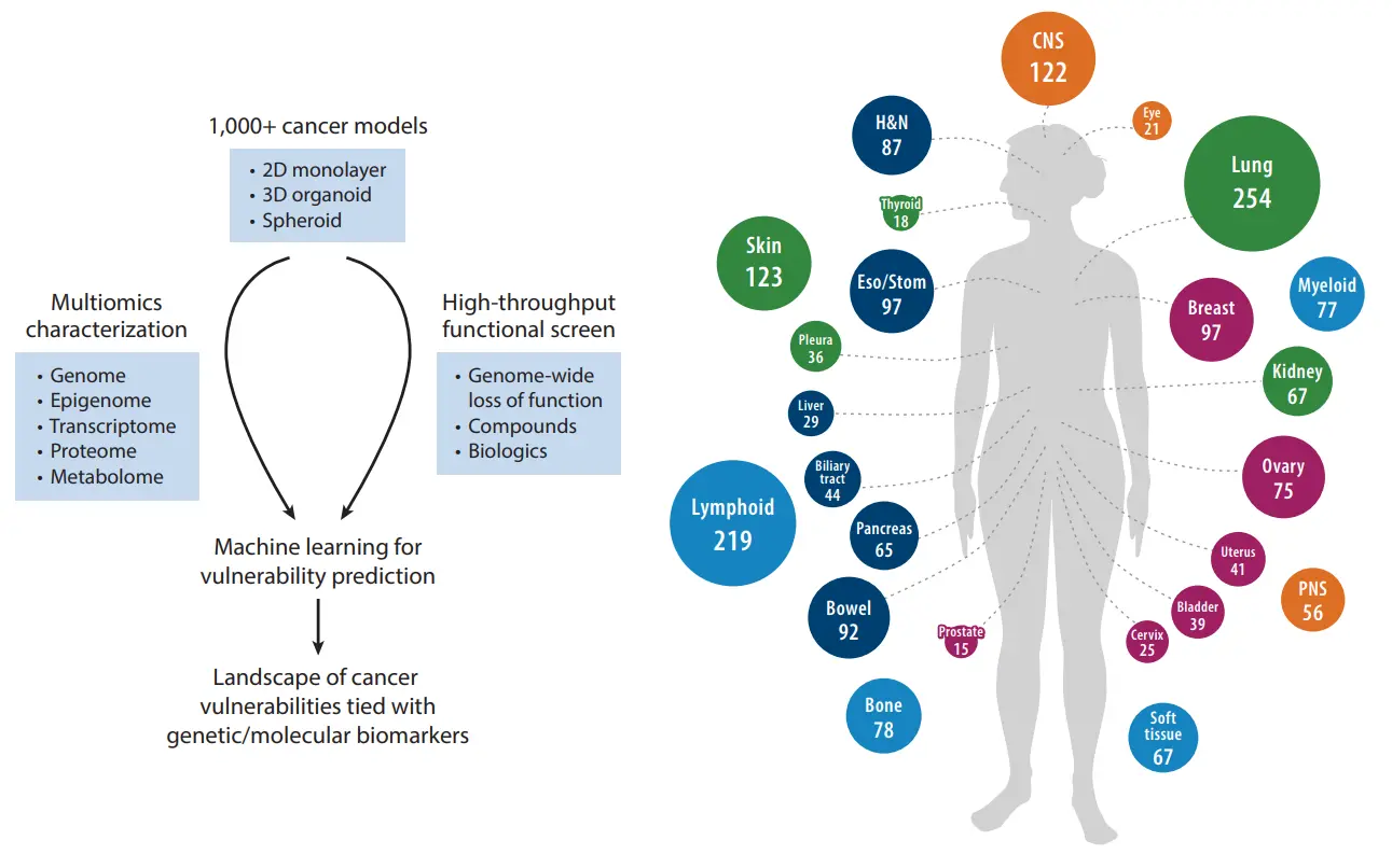Arafeh et al., Annu Rev Cancer Biol, 2025