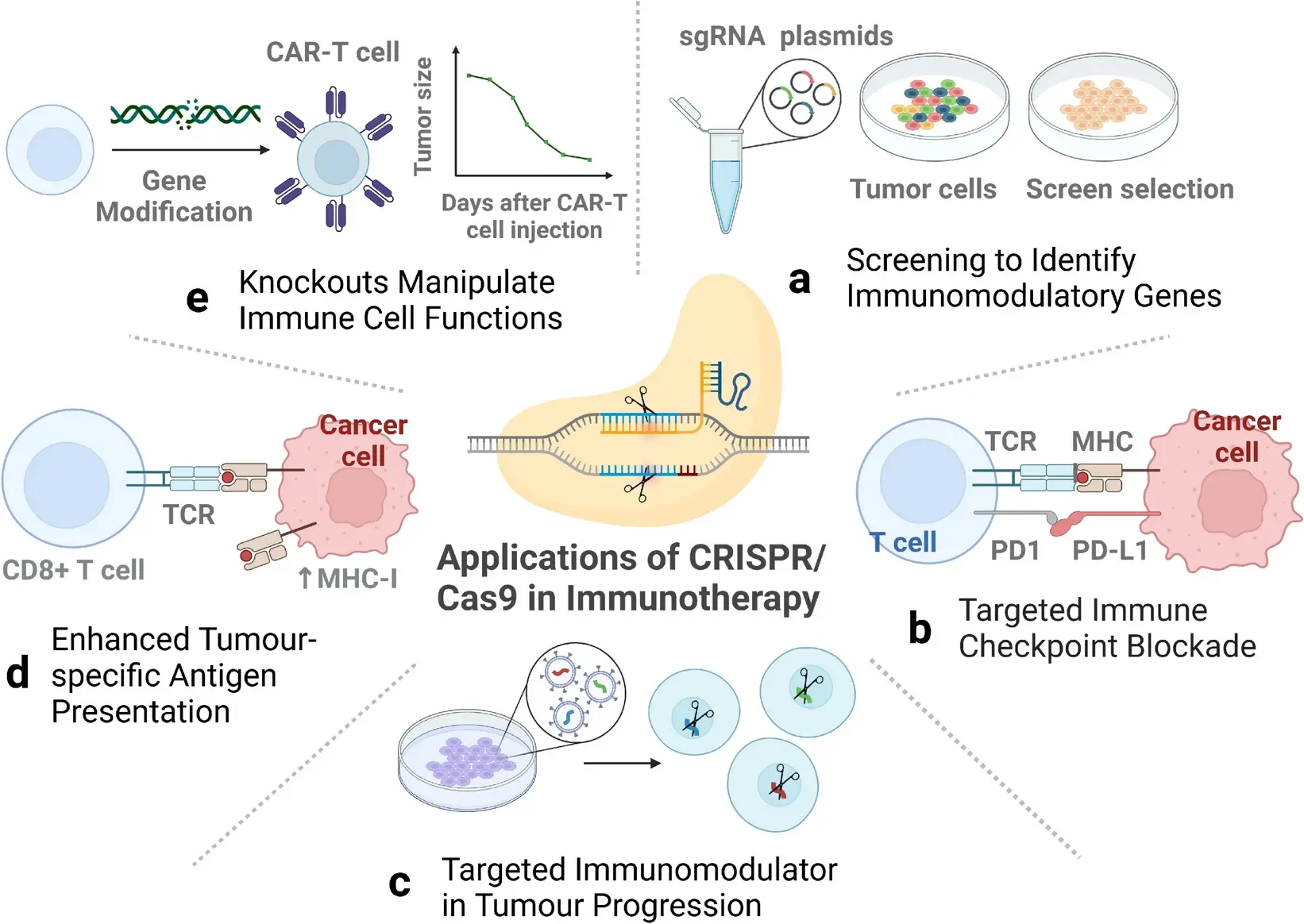 Feng et al., Exp Hematol Oncol, 2024