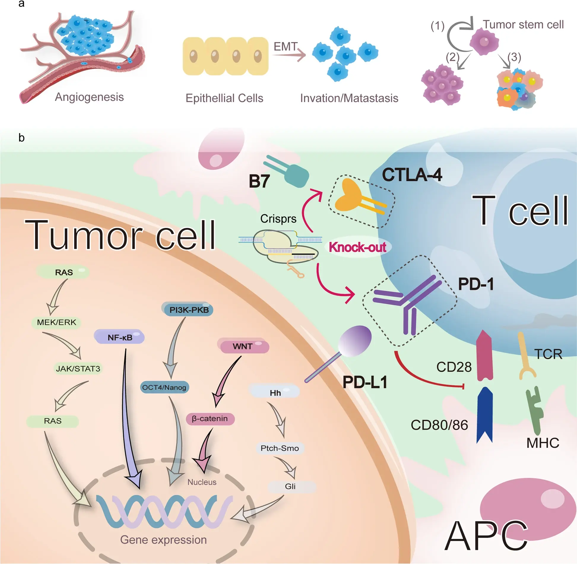 Liu et al., Mol Cancer, 2023