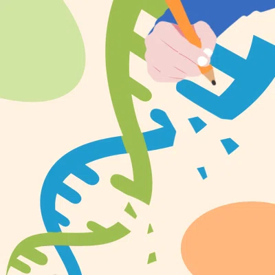 Customized Knockout Cell Line Engineering
