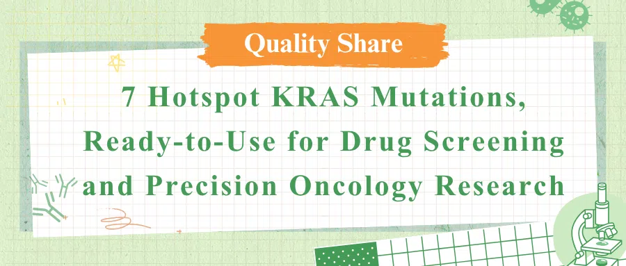 7 Hotspot KRAS Mutations, Ready-to-Use for Drug Screening and Precision Oncology Research