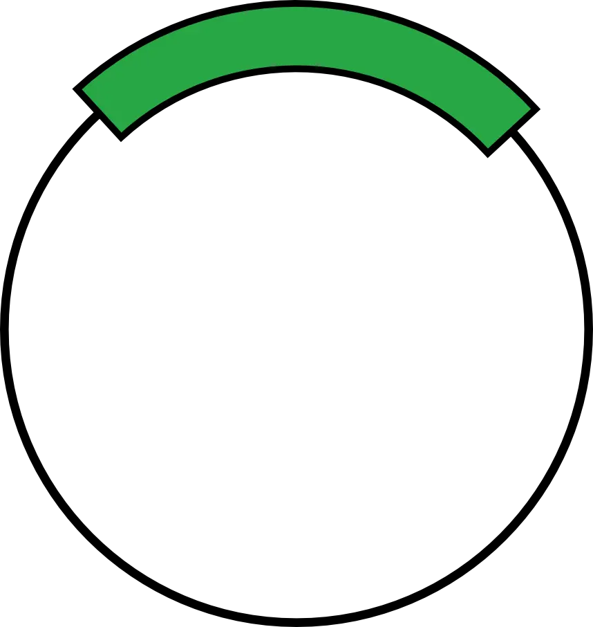 Experimentally Validated Genome‑Wide sgRNA Library
