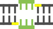 Single‑Gene Knockout