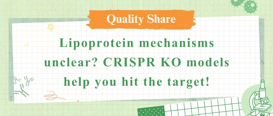 Lipoprotein metabolism overview