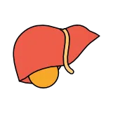 Metabolism
