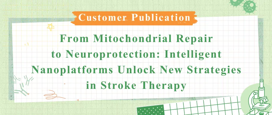 Ischemic stroke ferroptosis nanomotor