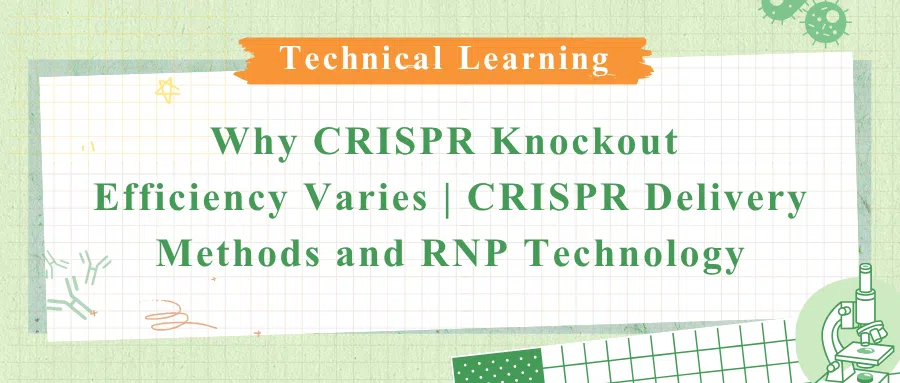 CRISPR gene knockout