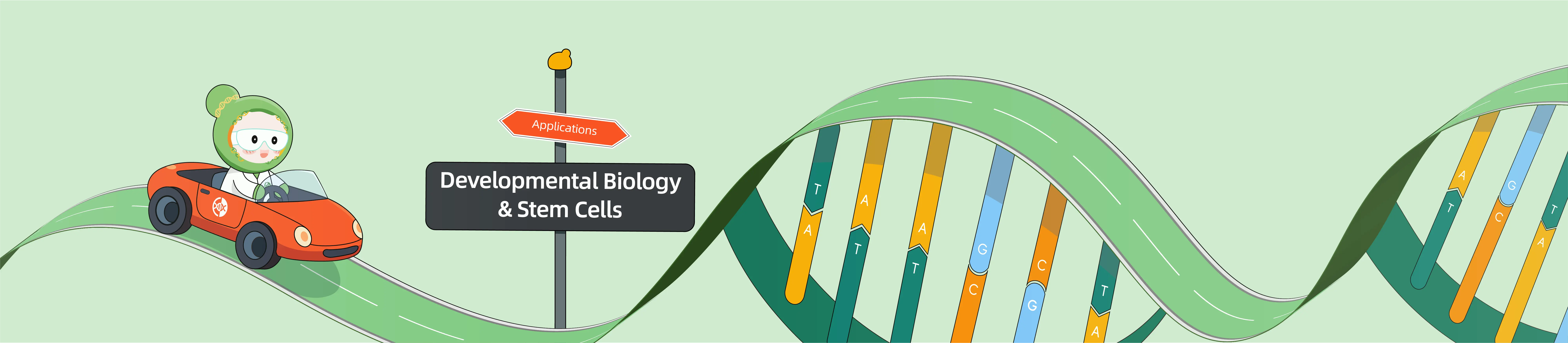 CRISPR-Powered Developmental Biology & Stem Cell Research