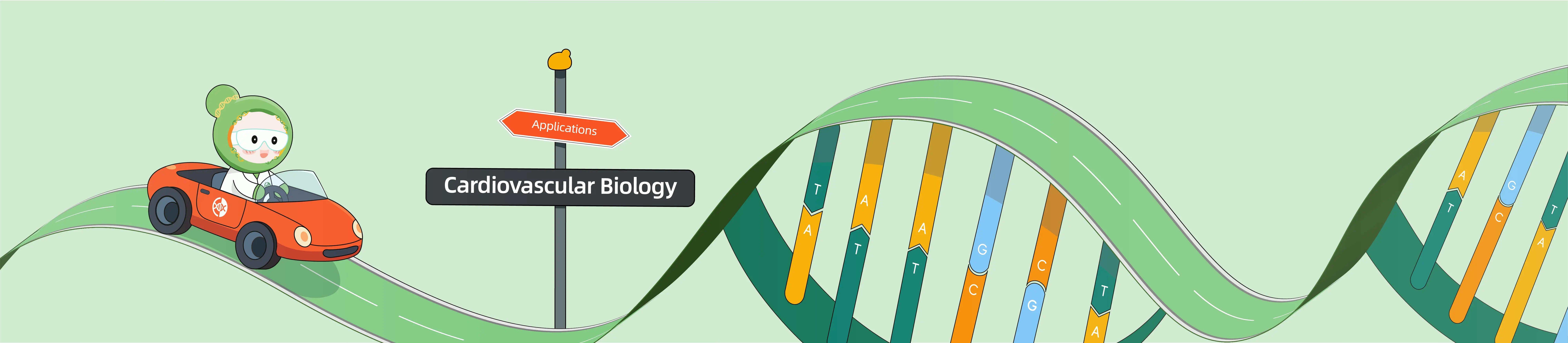 CRISPR Applications in Cardiovascular Biology