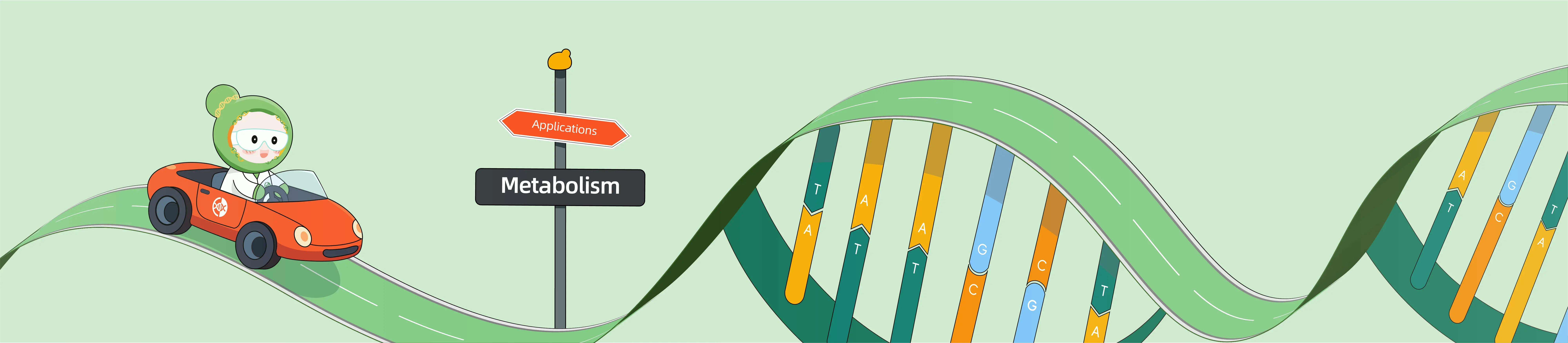 CRISPR Applications in Metabolism Research