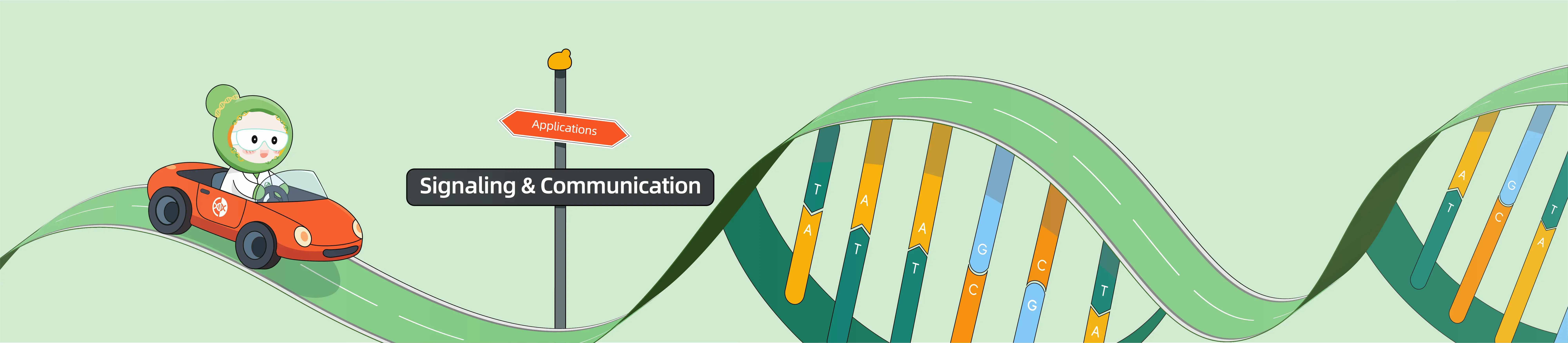 CRISPR Applications in Signaling & Communication