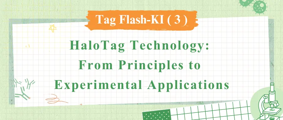 HaloTag Technology