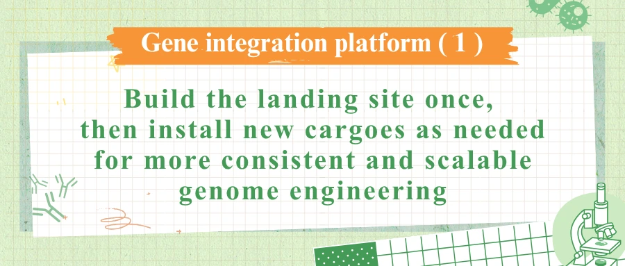 LandingPad Platform