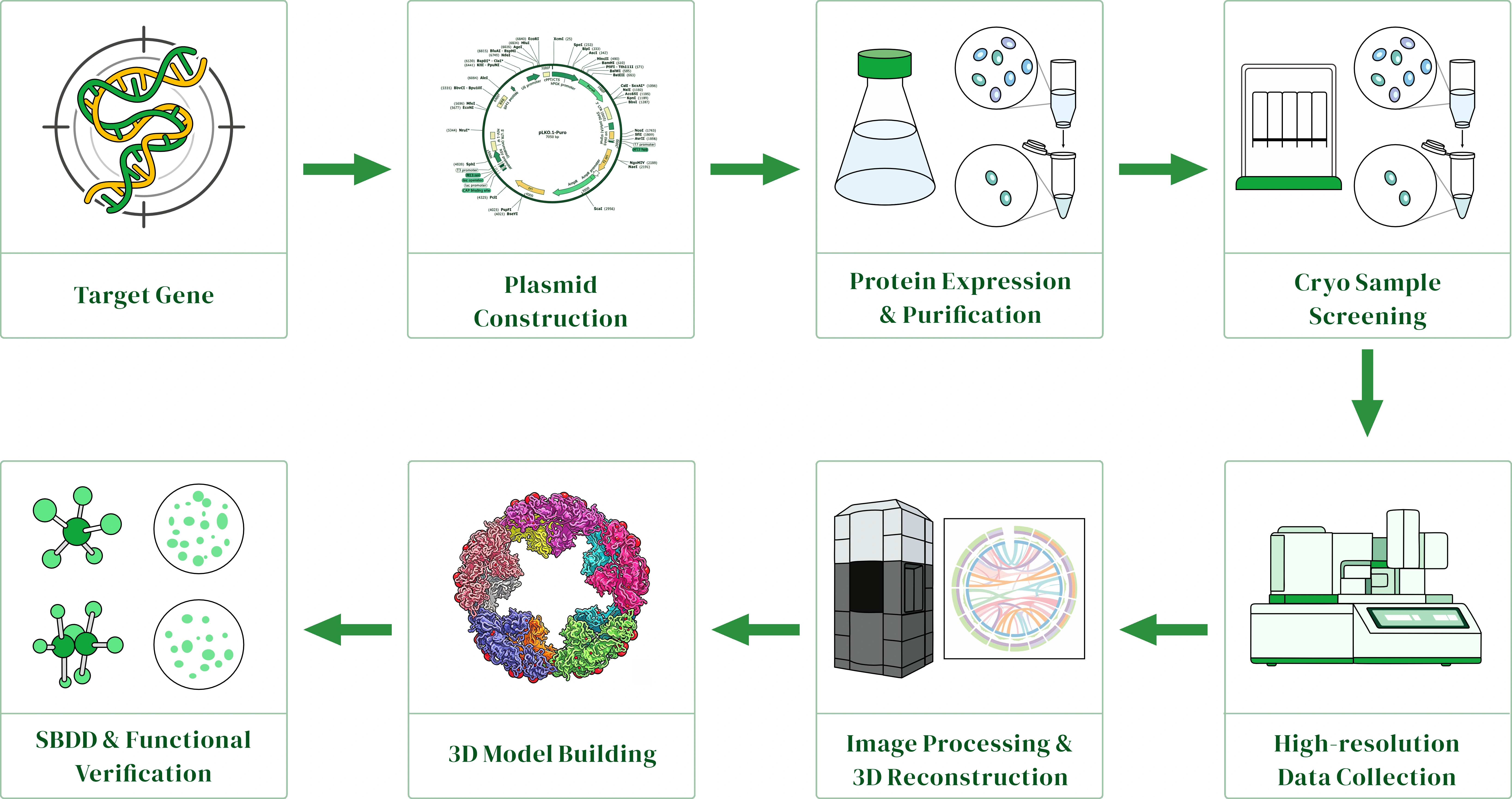 Cryo-EM project workflow
